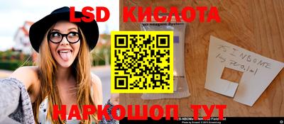 гидропоника Краснознаменск