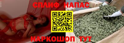 гидропоника Краснознаменск
