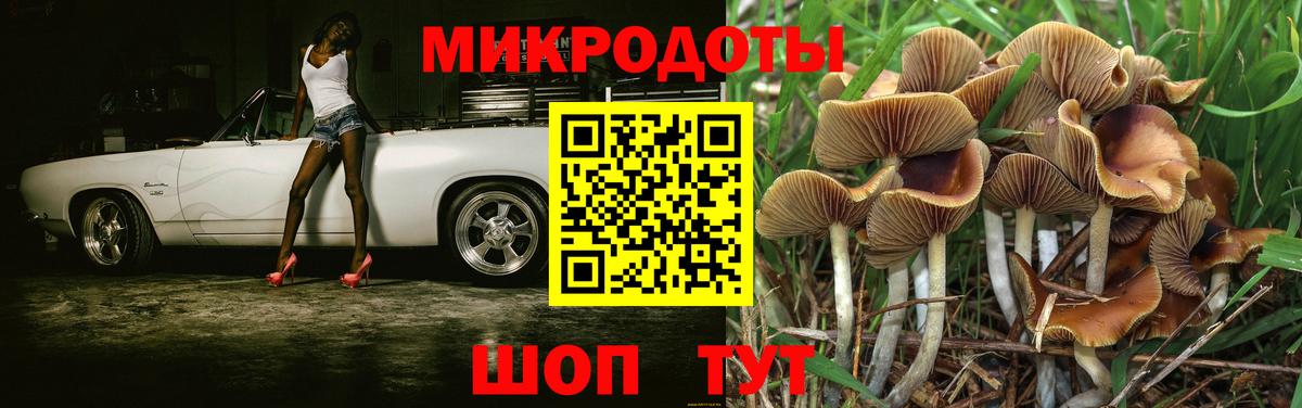 Псилоцибиновые грибы Psilocybine cubensis  Псилоцибиновые грибы Psilocybe  Усть-Джегута  Вход с VPN 